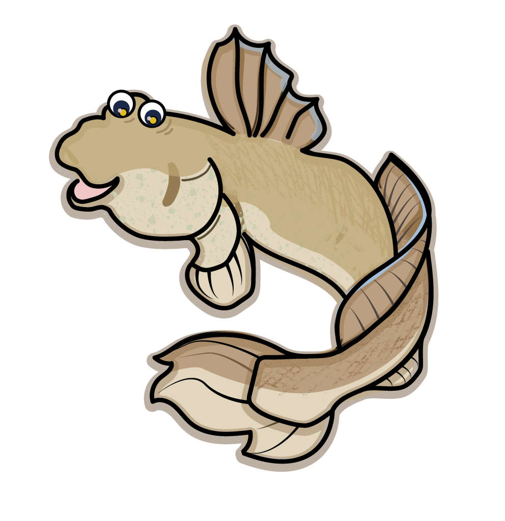 This image has an empty alt attribute; its file name is Giant-mudskipper-V401-992x1024.png