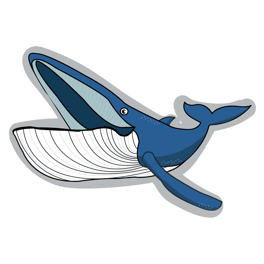This image has an empty alt attribute; its file name is whale01-1024x1024.png